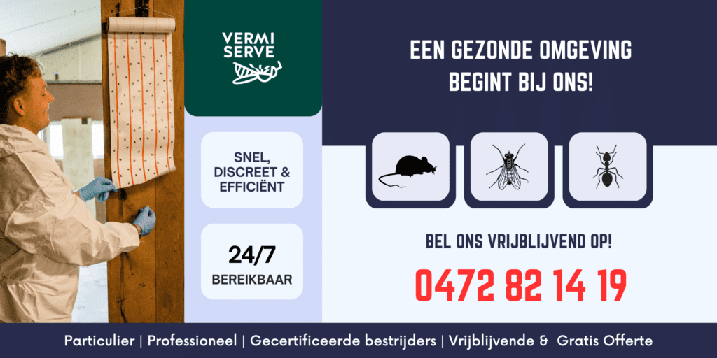 VermiServe, ongediertebestrijding, ongedierte bestrijding, muizen bestrijden, ratten bestrijden, houtwormen bestrijden, bedwantsen bestrijden, vliegen bestrijden