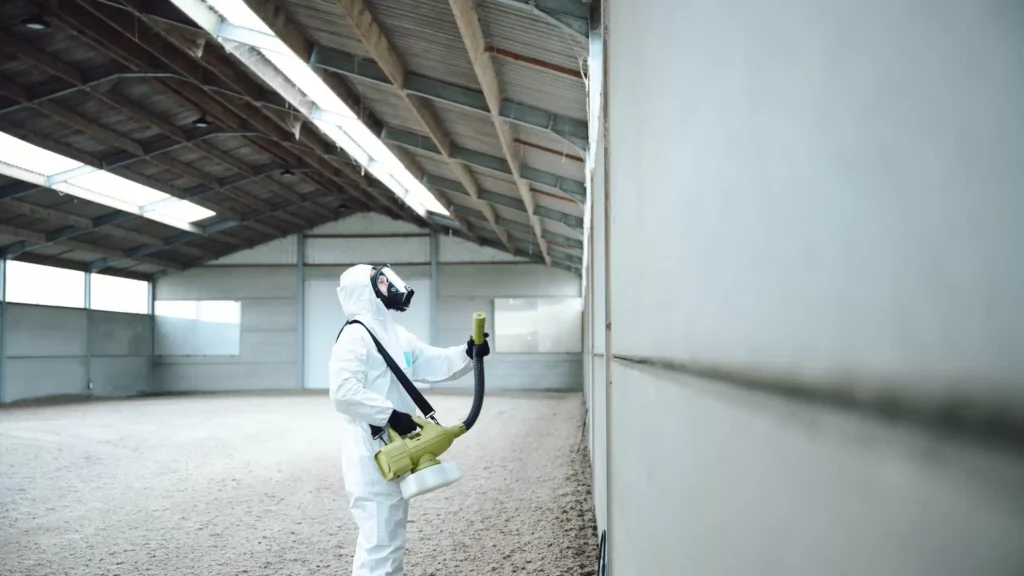 bedwants voorkomen, info, tips, herkennen